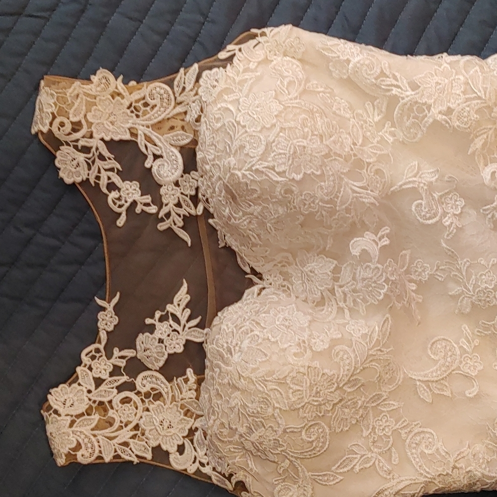 Wedding Dress and Veil